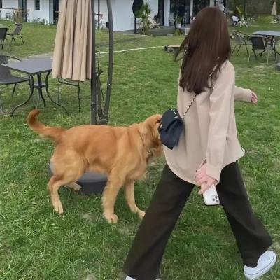 我的美丽人生